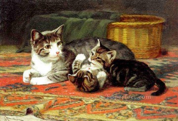 am069D11 animal cat Oil Paintings